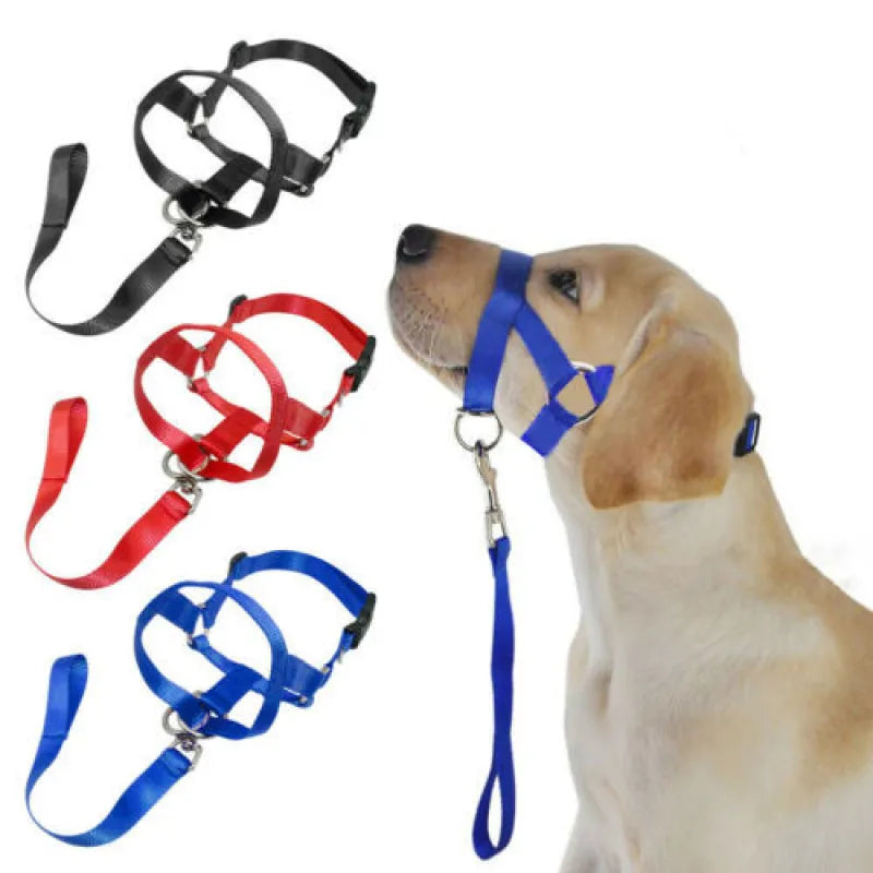 Red comfort harness for medium dogs, adjustable and secure for pet walking