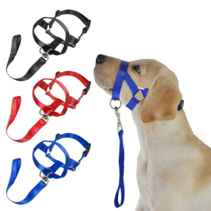 Red comfort harness for medium dogs, adjustable and secure for pet walking