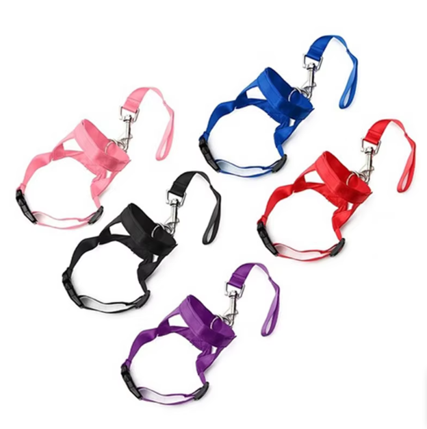 Unisex dog harness with leash, perfect for small to medium pet playtime