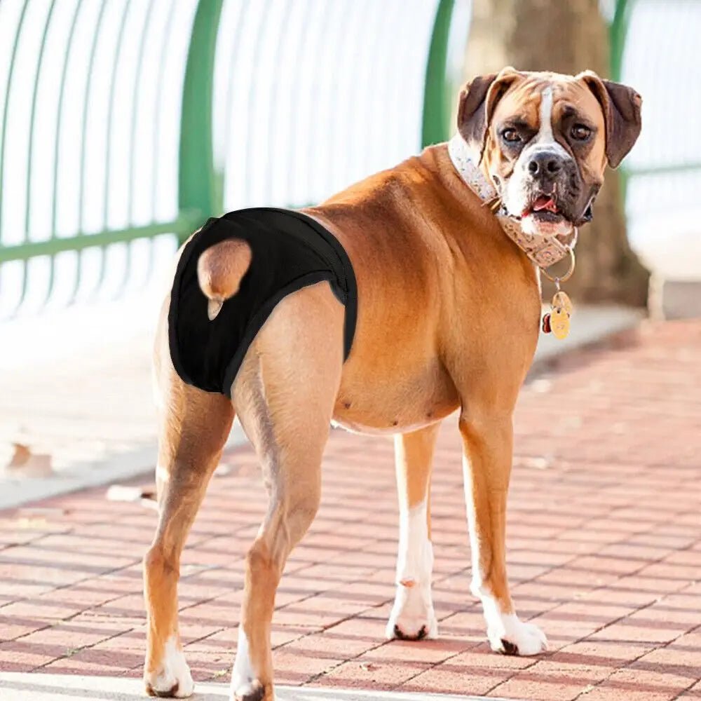 Dog incontinence pants, unisex design with adjustable straps, includes 3 washable inserts for pet care