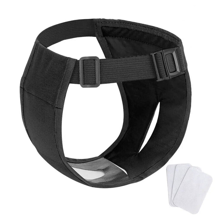 Reusable dog apparel: adjustable incontinence pants kit with three washable diapers for pets