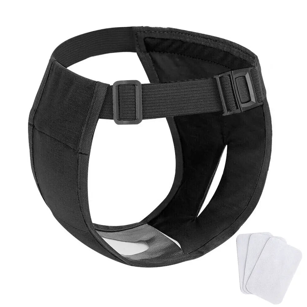 Close-up of adjustable strap on dog incontinence pants, showing quality and secure fit for pets
