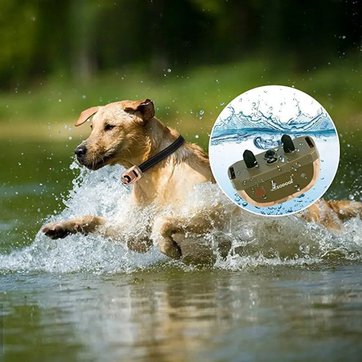 Dog obedience training collar, waterproof and long range, ideal for pet owners