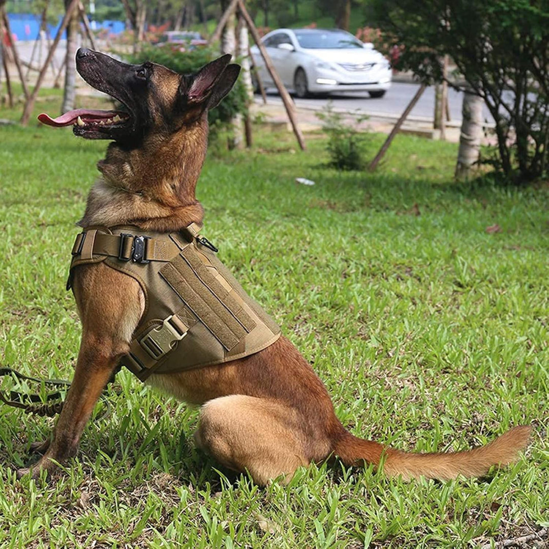 Close-up of durable K9 dog harness showing reinforced stitching and metal D-ring for leash attachment.