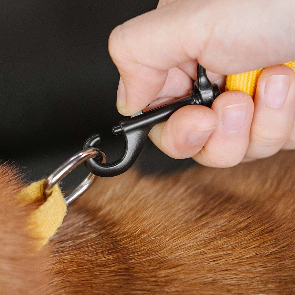 Reflective pet car restraint, universal fit for various dog sizes, travel accessory