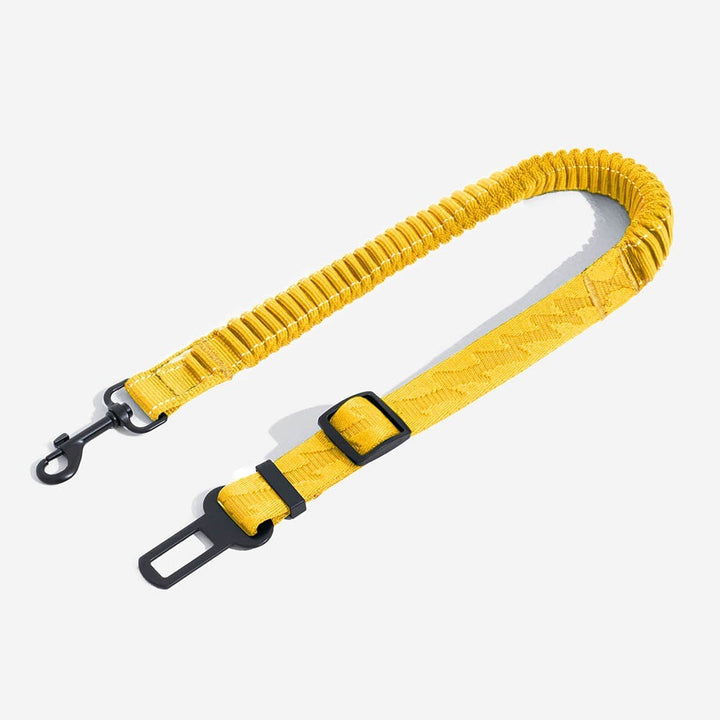 Close-up of adjustable pet car restraint buckle, reliable dog travel accessory