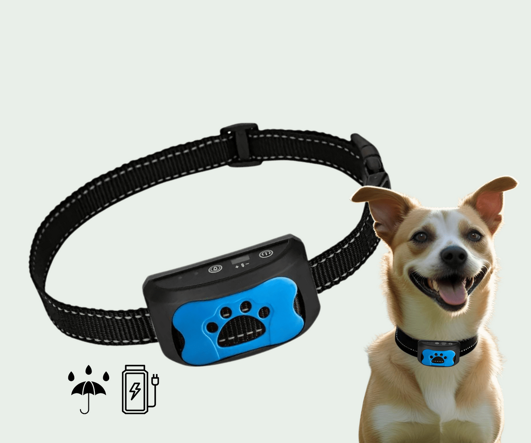Dog owner attaching a unisex anti-bark training collar to their dog, emphasizing humane correction.