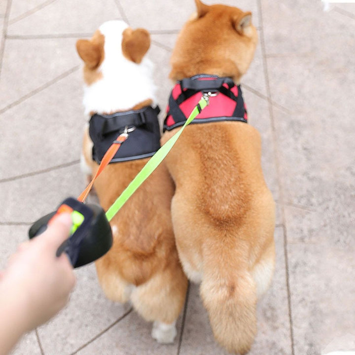 Close-up of anti-tangle double dog leash mechanism with bright LED light for pet safety.
