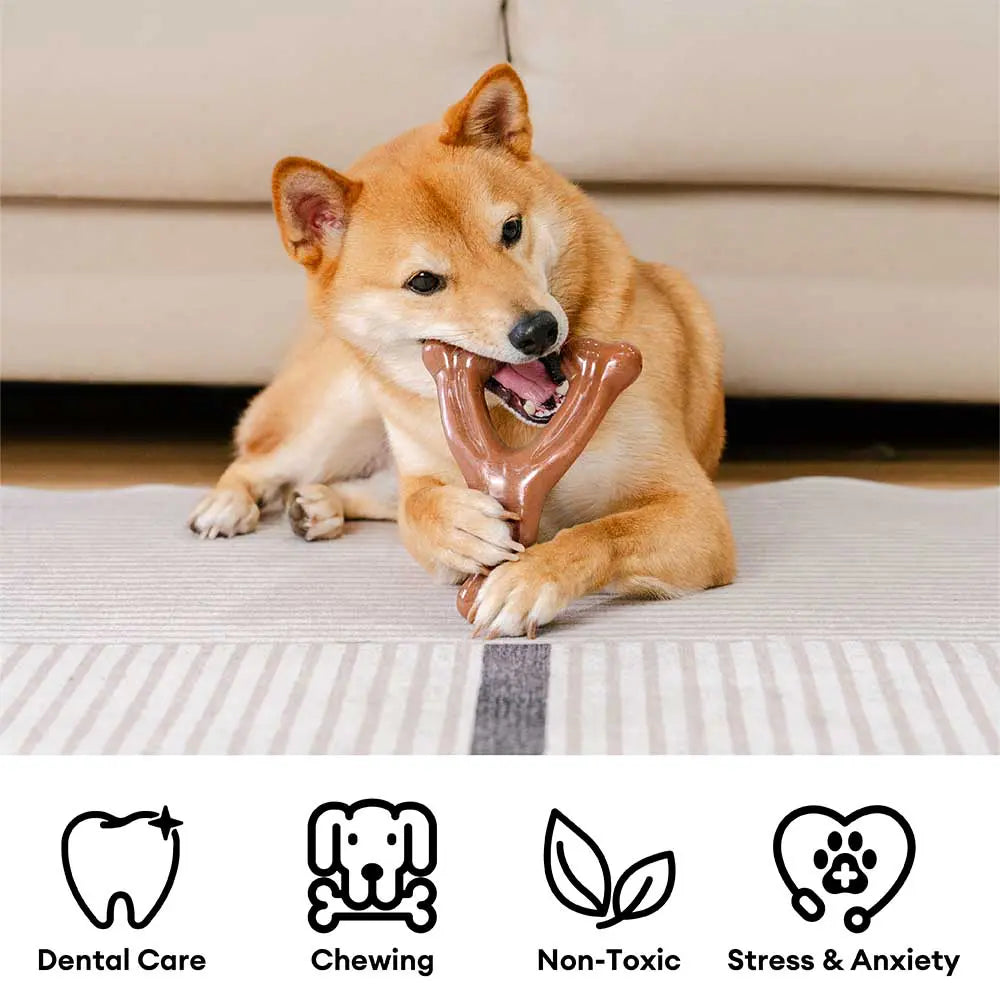 Close-up of a bacon-shaped dog chew toy, ideal for teething. Strong pet dental care.