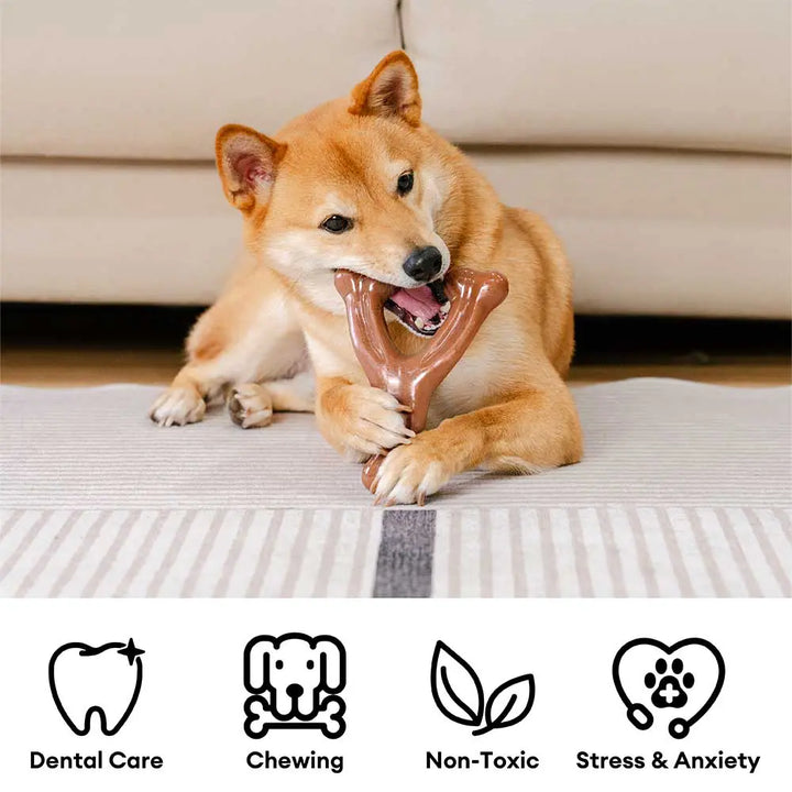 Close-up of a bacon-shaped dog chew toy, ideal for teething. Strong pet dental care.