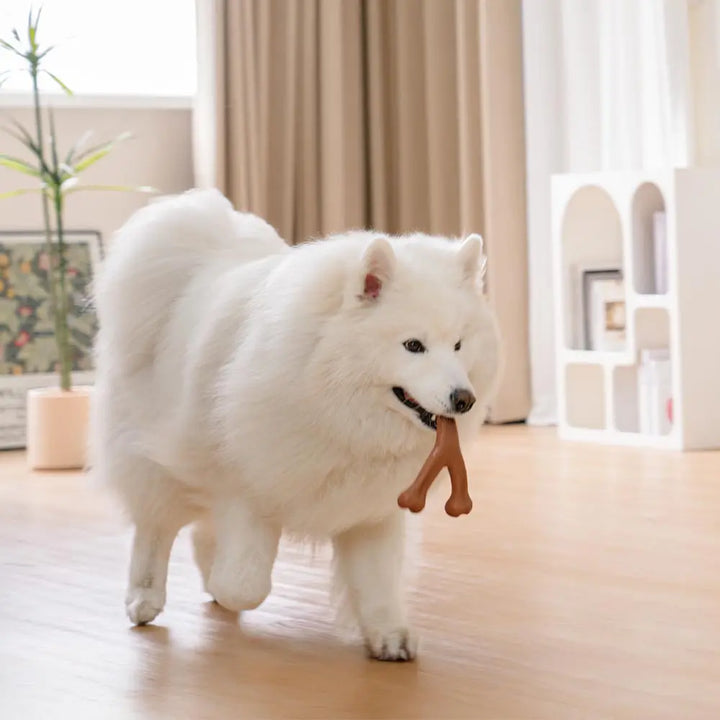 Ergonomic bacon chew toy for dogs, designed for interactive play and good dental hygiene.