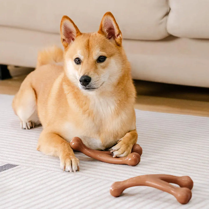 Durable dog chew toy with realistic bacon texture, perfect for teething and pet dental health.