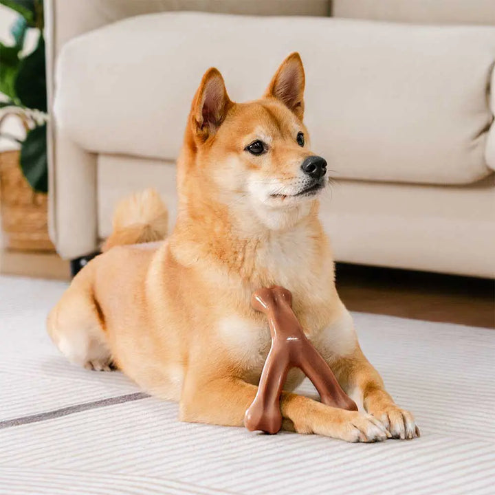Bacon flavored dog toy, a sturdy chew for puppies and adult dogs to improve dental health.