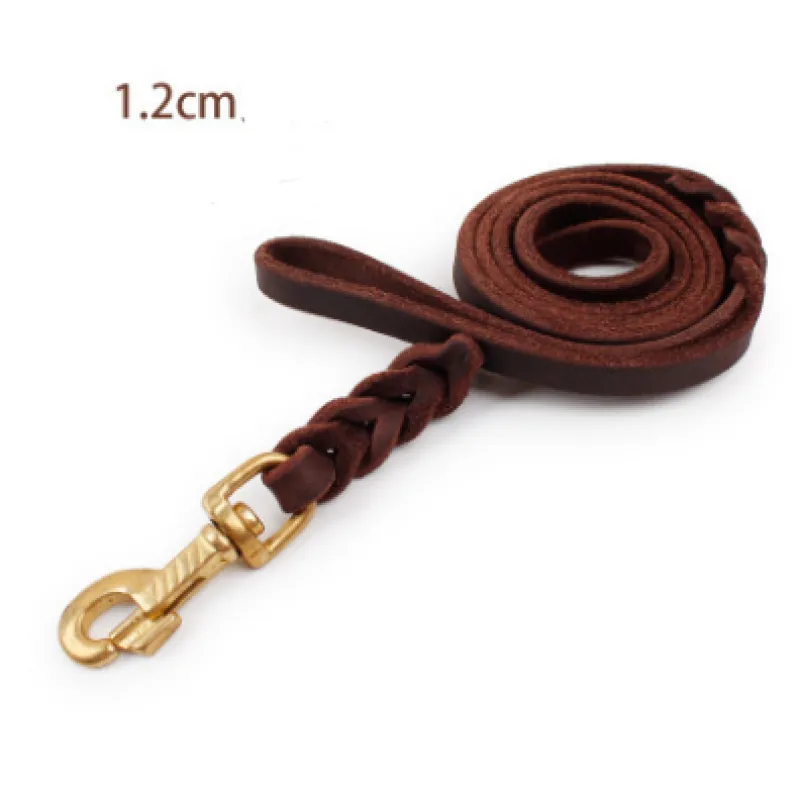 Designed for durability: a black leather dog leash with robust golden hardware, ideal for pet walking.