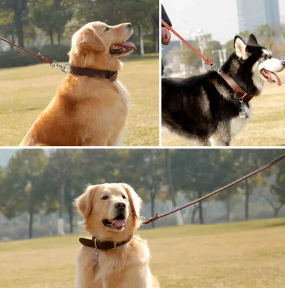 Premium quality brown leather dog leash with golden clasp, a stylish and durable pet walking accessory.