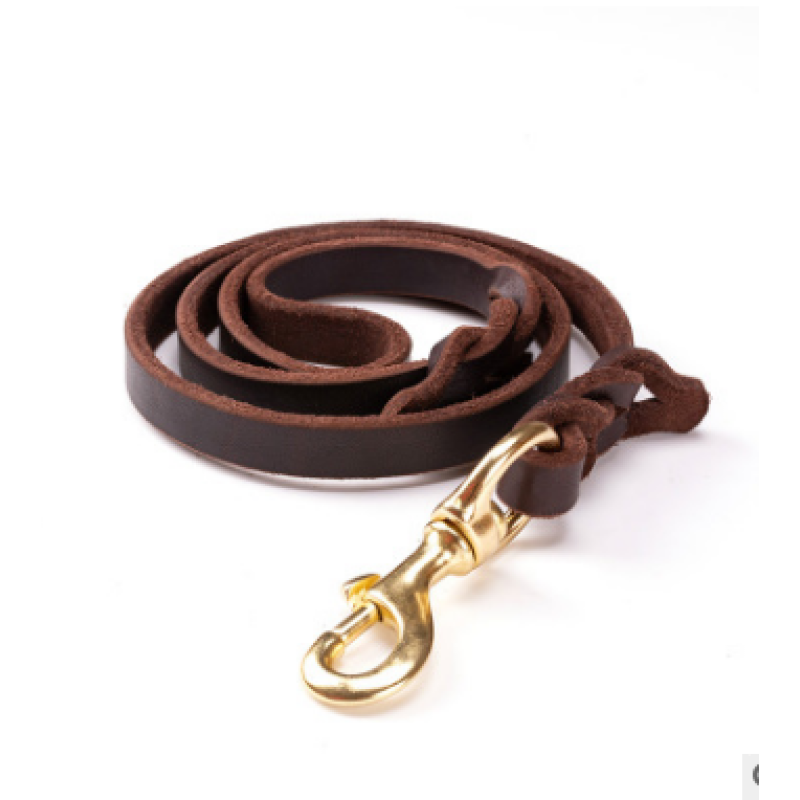 Premium brown leather dog leash with strong golden hardware, perfect for daily dog walking.