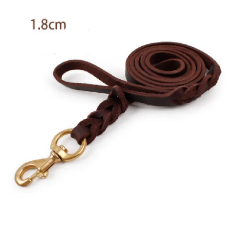 Elegant leather dog leash in dark brown, featuring a secure golden carabiner for pet safety.