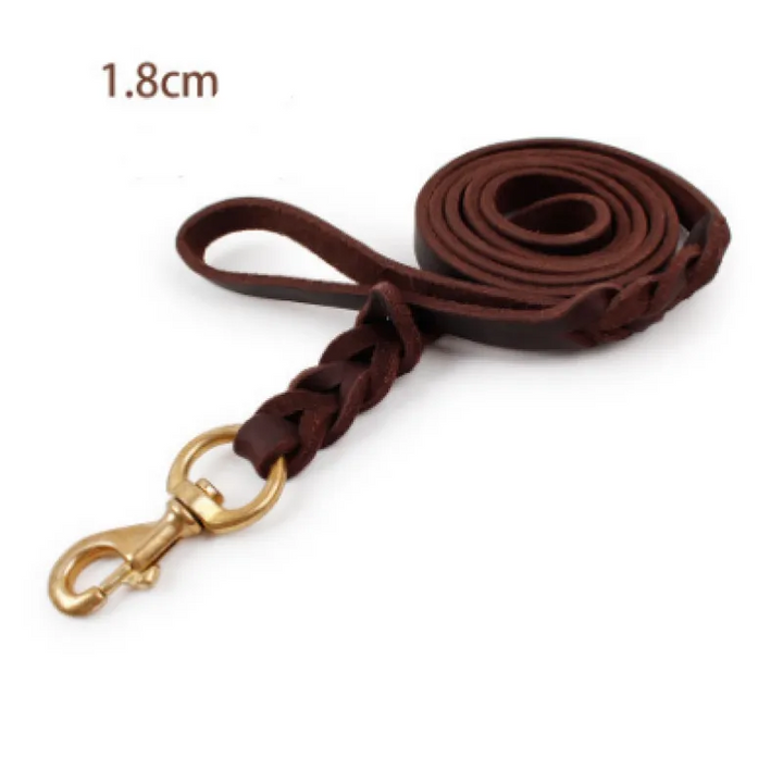 Elegant leather dog leash in dark brown, featuring a secure golden carabiner for pet safety.