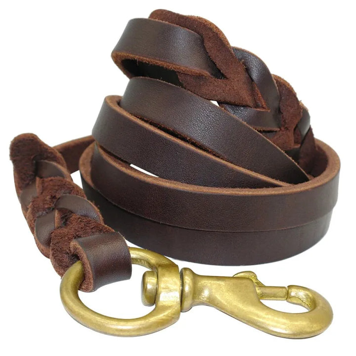High-quality black leather dog leash with shining golden clasp, a durable pet accessory for all dogs.