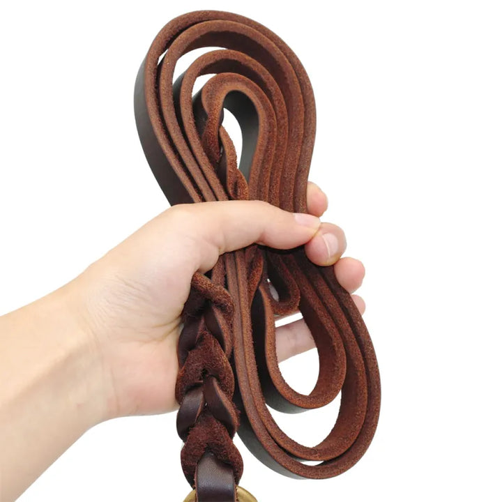 Stylish brown leather dog leash with golden carabiner, essential pet supply for walking and training.