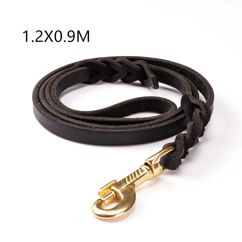 Close-up of a golden carabiner on a high-quality leather dog leash, durable pet walking gear.