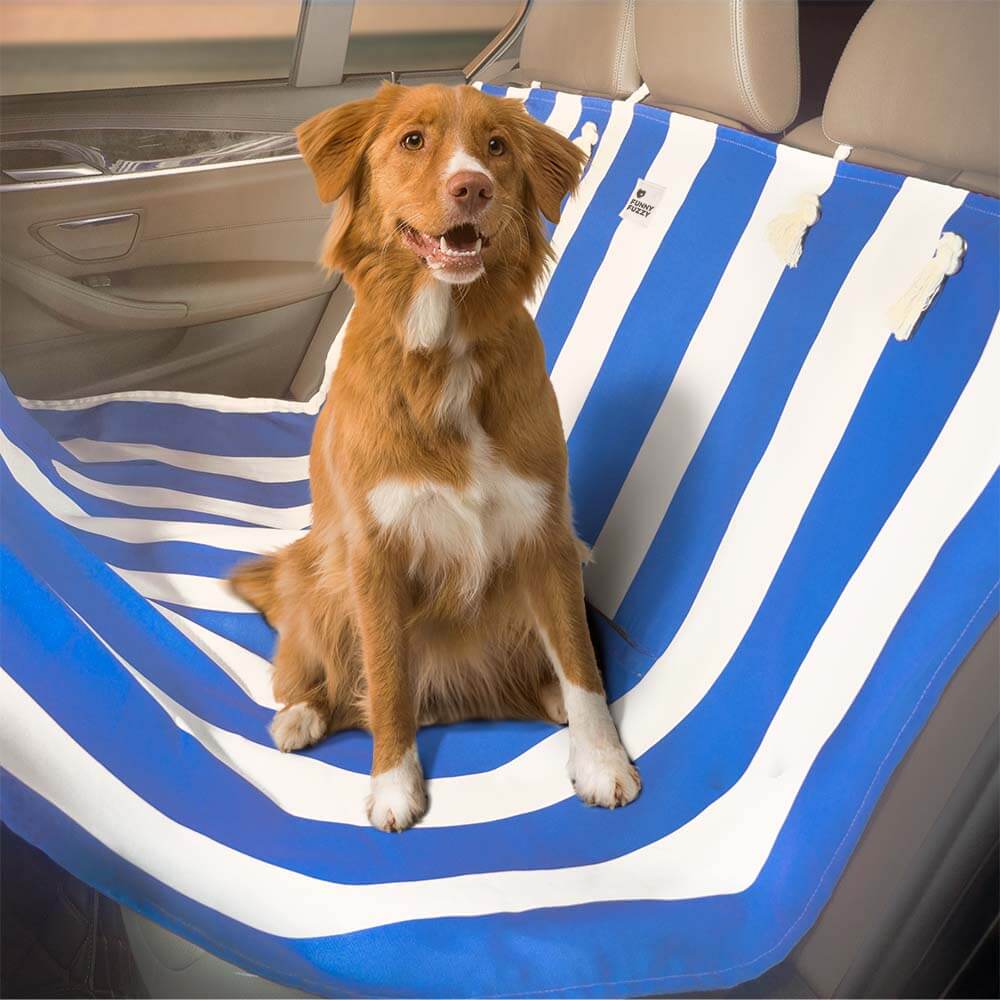 Dog car seat protector in a vehicle backseat, black water-resistant fabric, pet travel essential