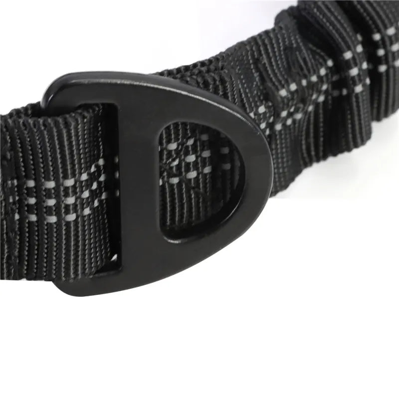 Two dogs on unisex shock absorbing elastic leashes, enjoying a comfortable and safe walking experience