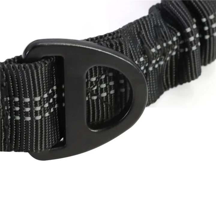Two dogs on unisex shock absorbing elastic leashes, enjoying a comfortable and safe walking experience