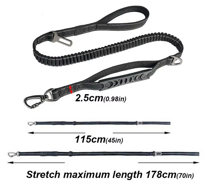 Side view of a dog wearing a harness attached to a unisex shock absorbing elastic leash for walks