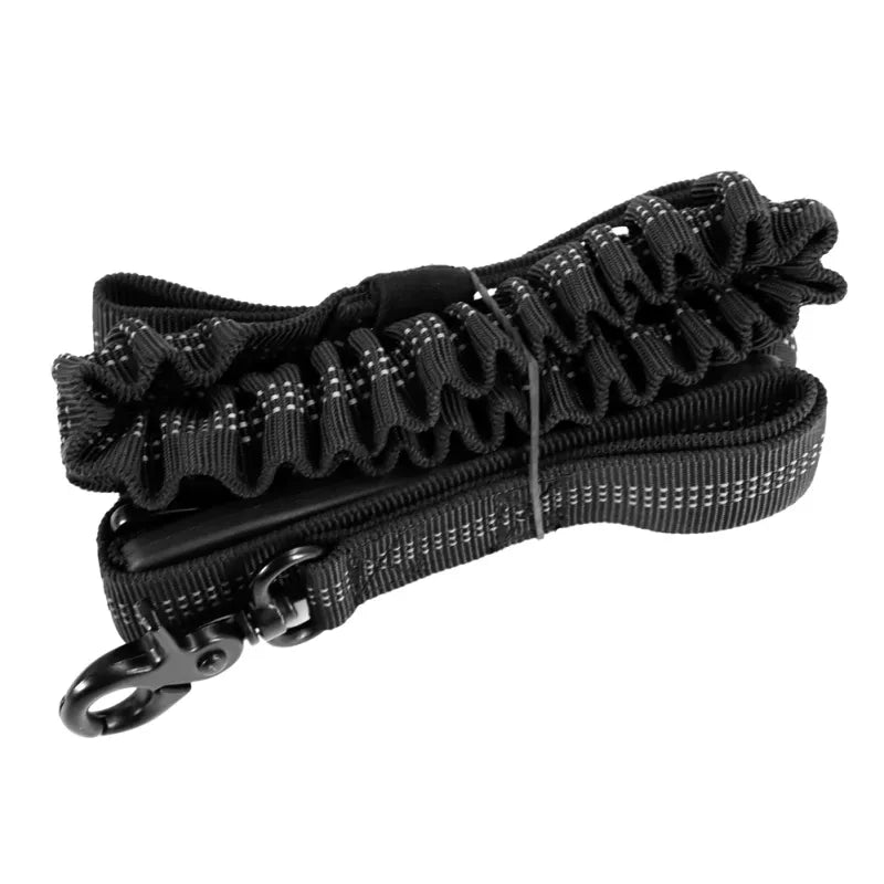 Dog owner holding a unisex shock absorbing elastic leash, showcasing comfortable dog walking gear