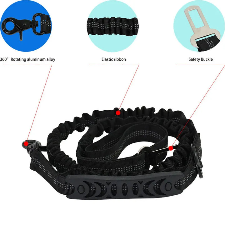 Elastic dog leash in action, absorbing shock during a dog walk, highlighting pet comfort and control
