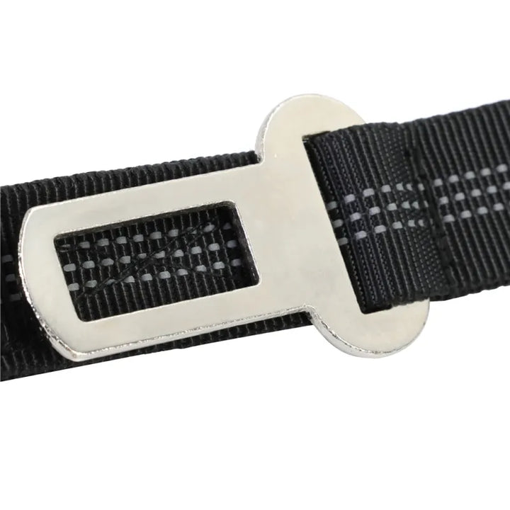Training leash: a thick, black shock absorbing elastic dog leash with strong metal clasp for pets