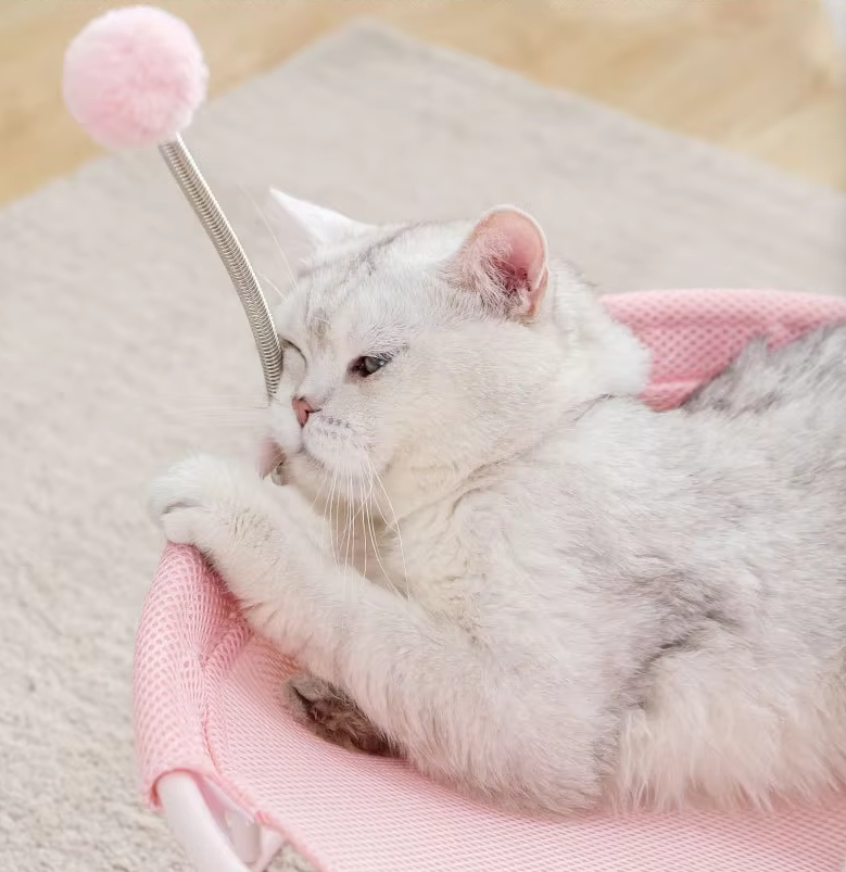 Rosa pet comfort item: round cat hammock with interactive play balls & sturdy base