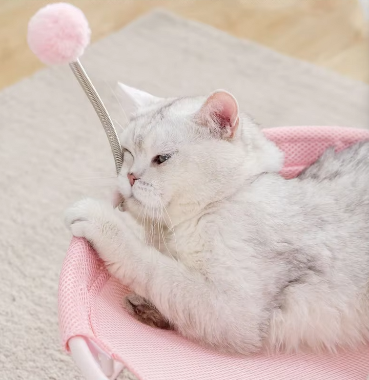 Rosa pet comfort item: round cat hammock with interactive play balls & sturdy base