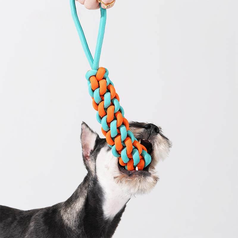 Vibrant braided rope stick tug toy for dogs, durable chew, perfect for enrichment and training.