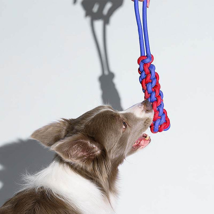 Durable braided rope stick dog toy, chew and tug for puppies and adult dogs, promotes dental health.