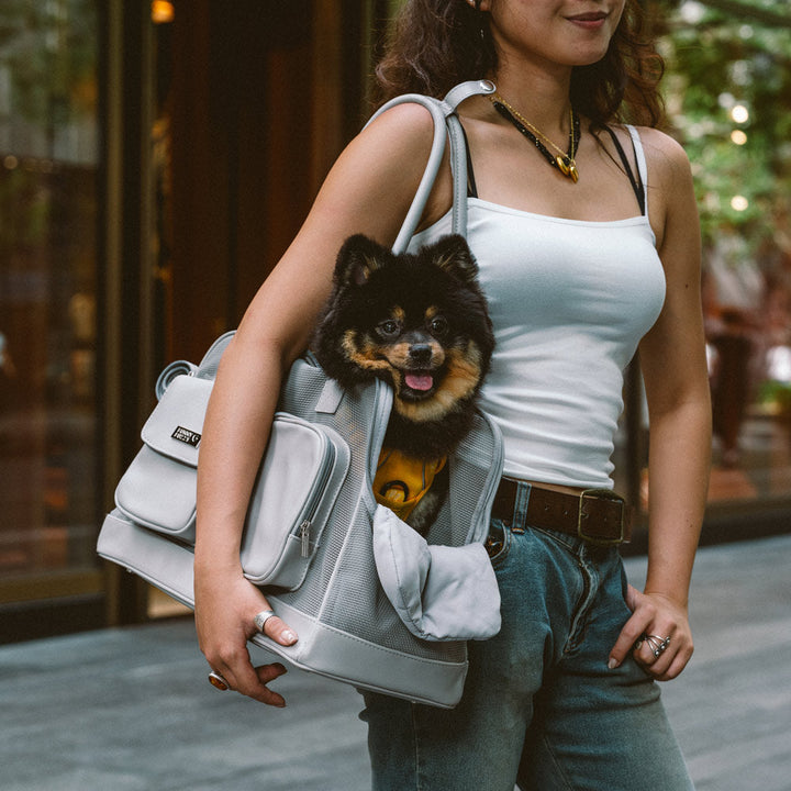 Unisex breathable mesh pet carrier for small dogs & cats, black, foldable for travel