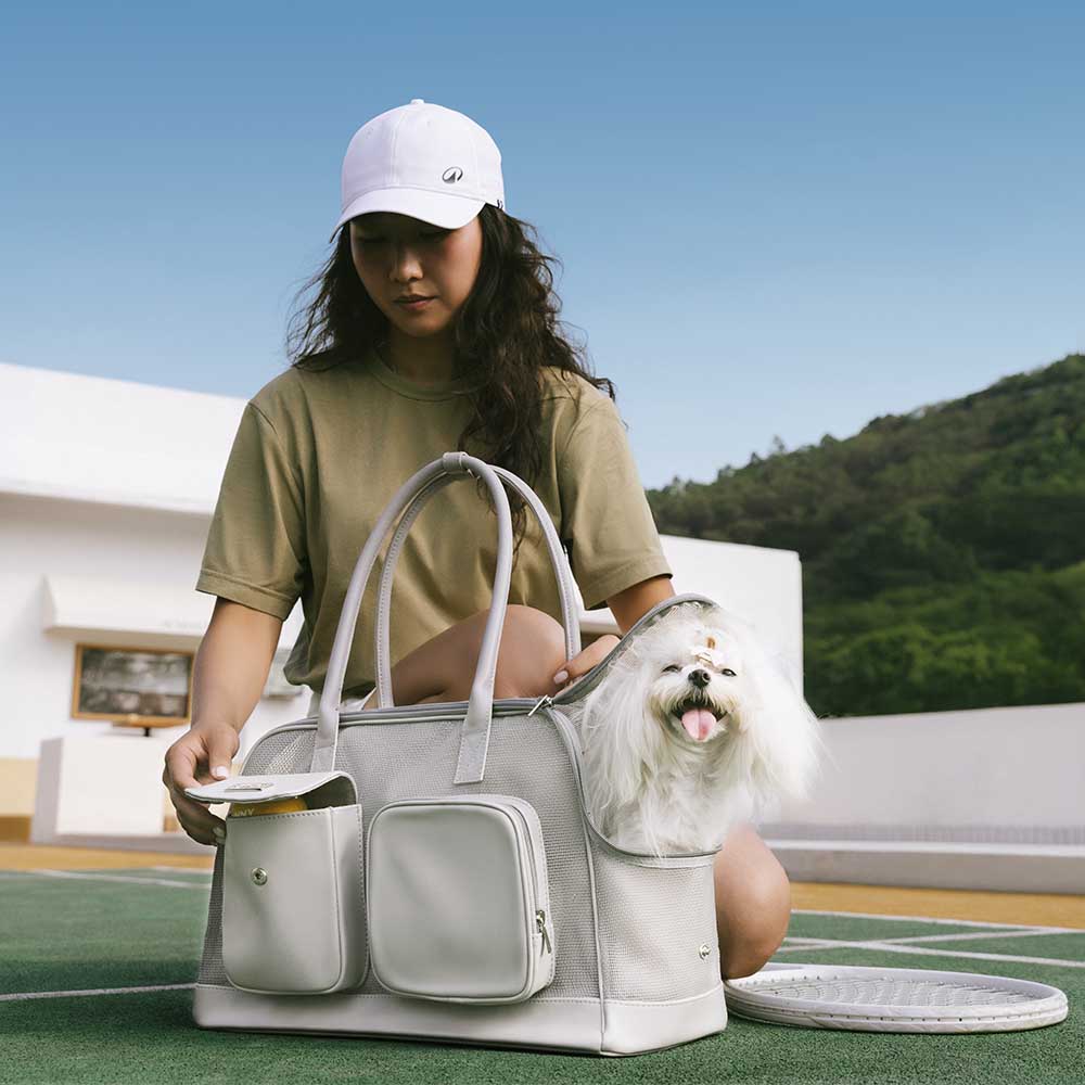 Interior view of a spacious mesh pet carrier for small dogs & cats, soft lining