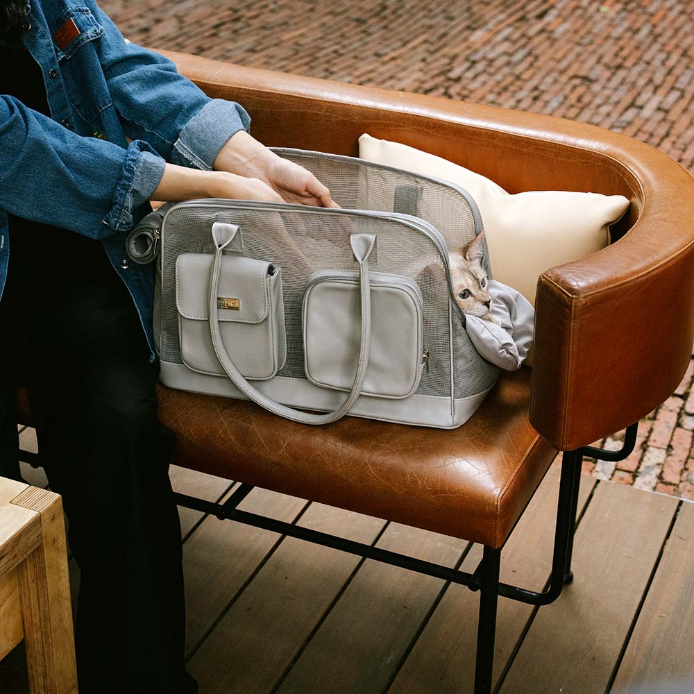 Unisex pet carrier for car travel, black, securely buckled in a car seat