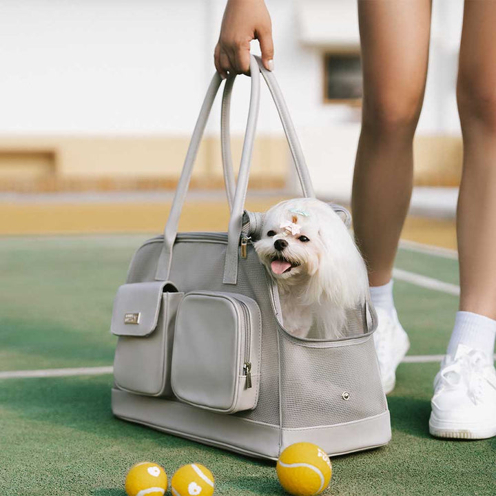 Breathable pet carrier showcasing various mesh panels for maximum airflow, grey