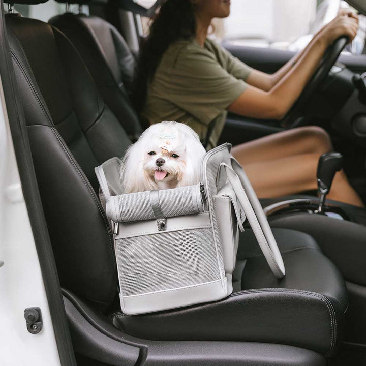 Small puppy looking content in a black unisex mesh dog carrier, travel-ready
