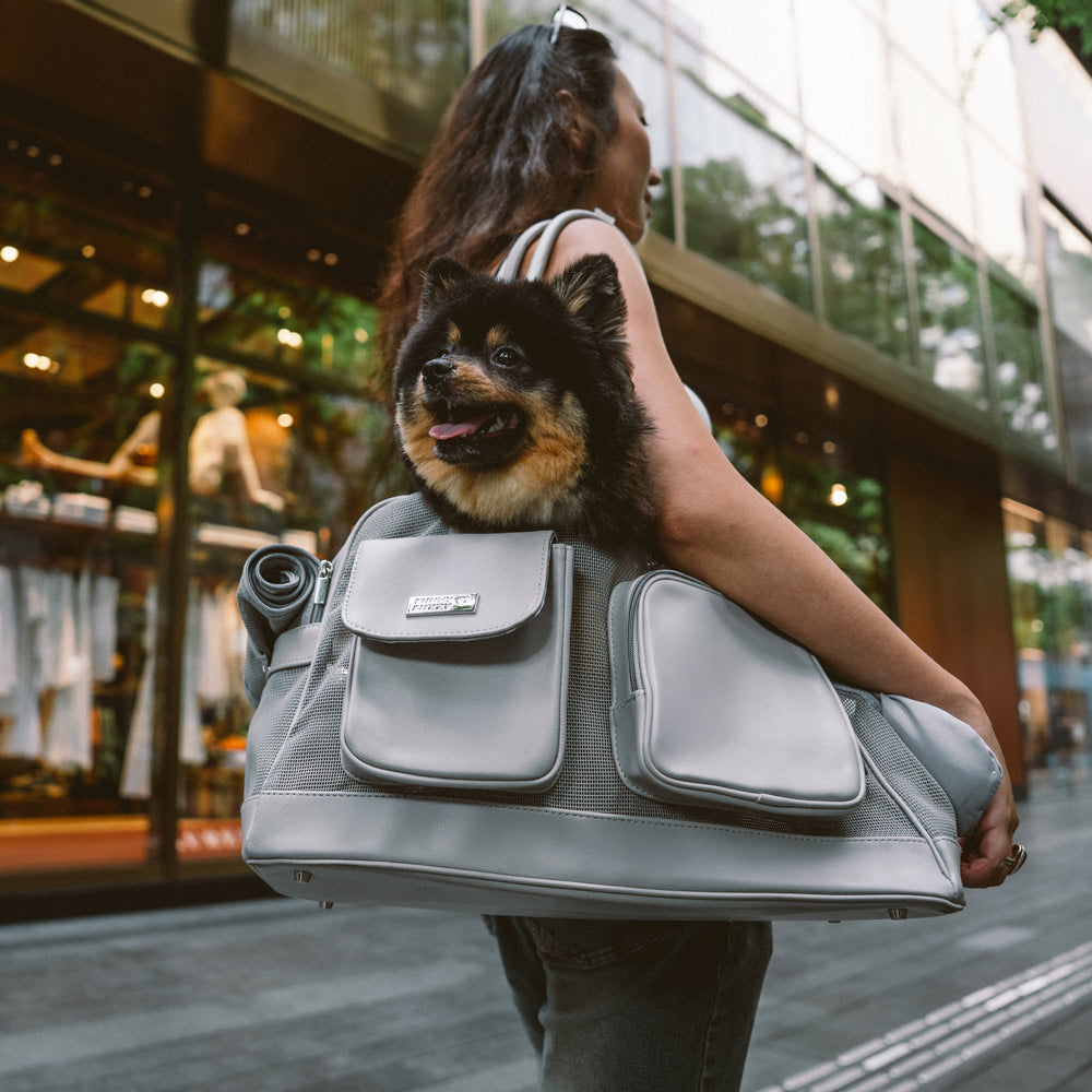 Adorable kitten exploring a grey breathable pet carrier, safe and secure