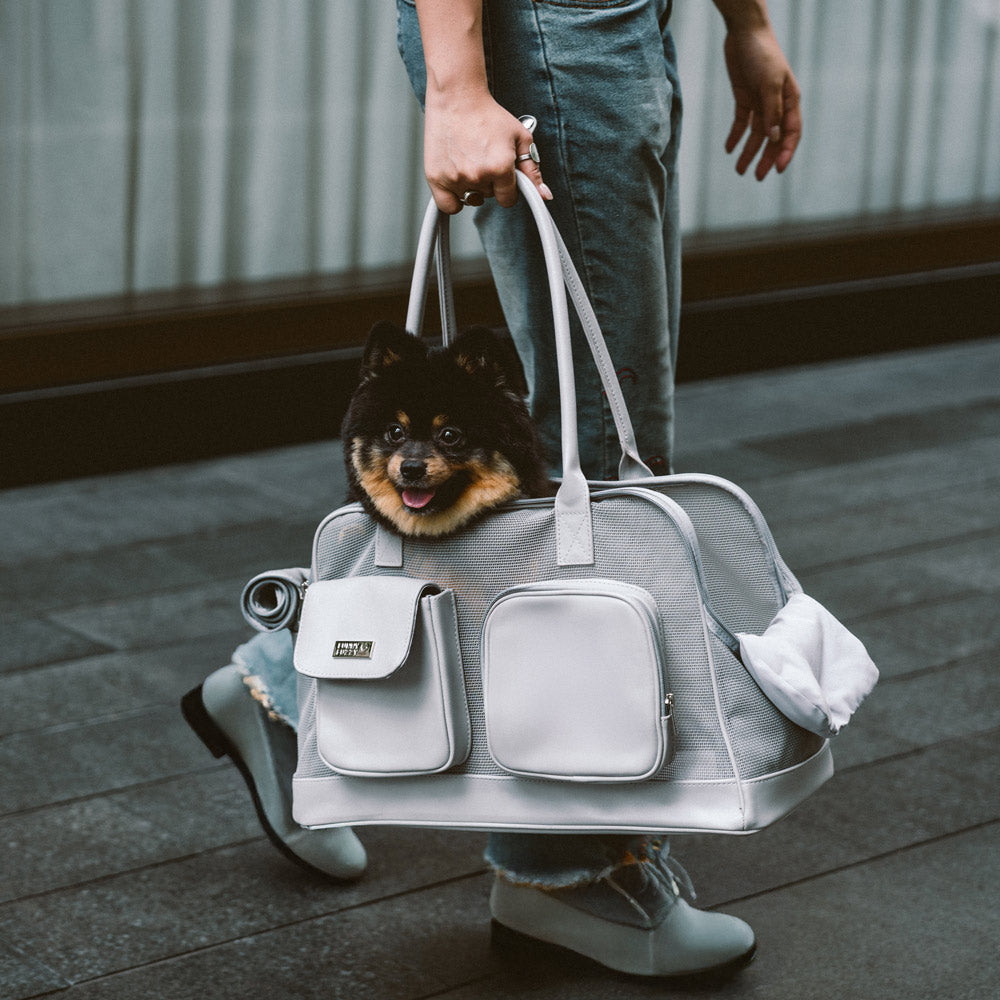 Small pet travel carrier, grey mesh and fabric, with shoulder strap, breathable design