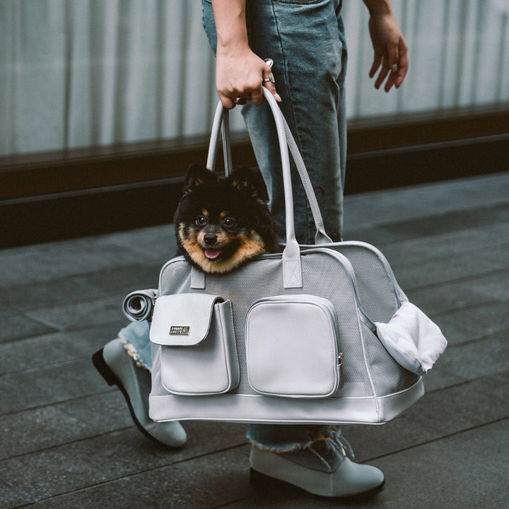 Small pet travel carrier, grey mesh and fabric, with shoulder strap, breathable design