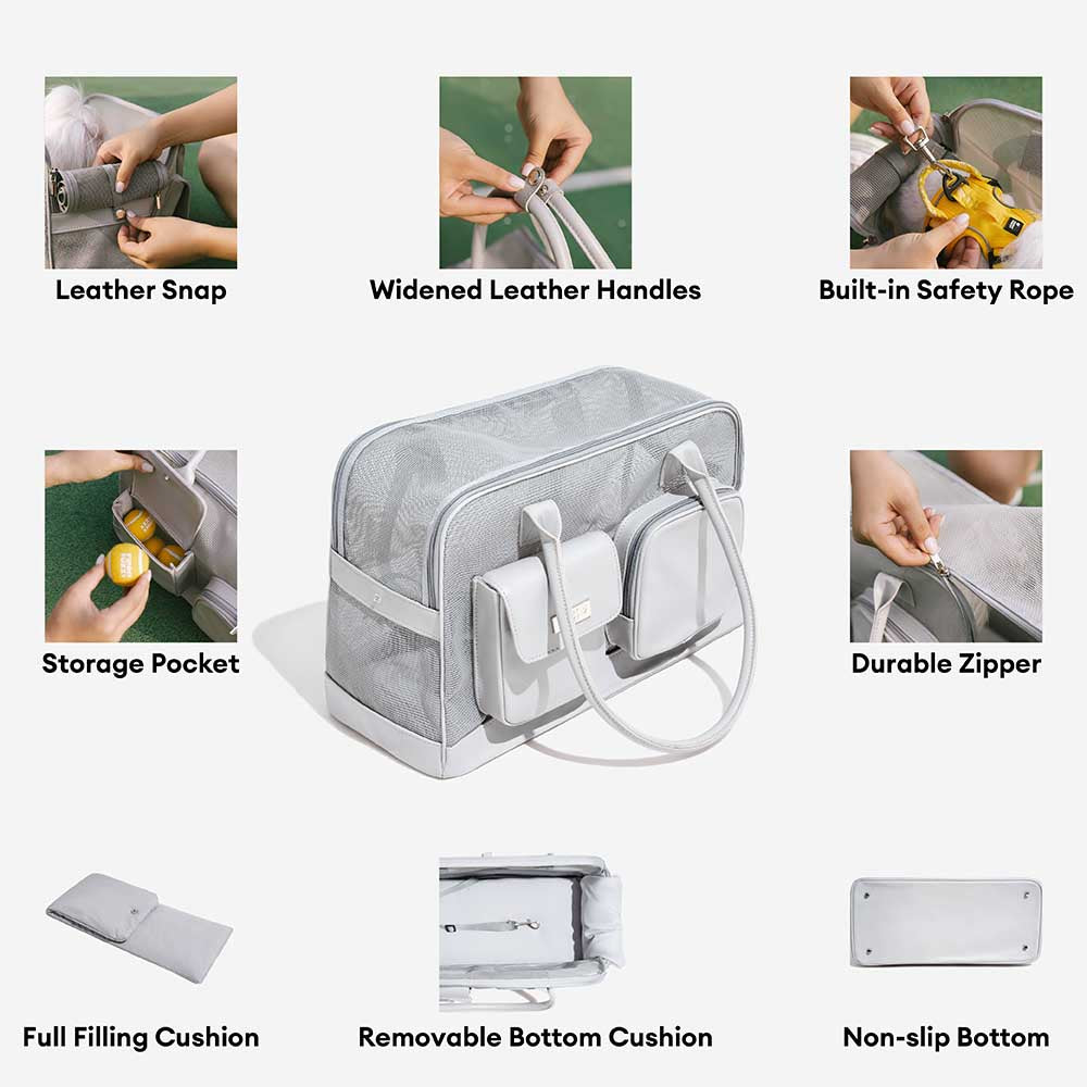 Small dog peeking out of breathable mesh pet travel carrier, comfortable for pets
