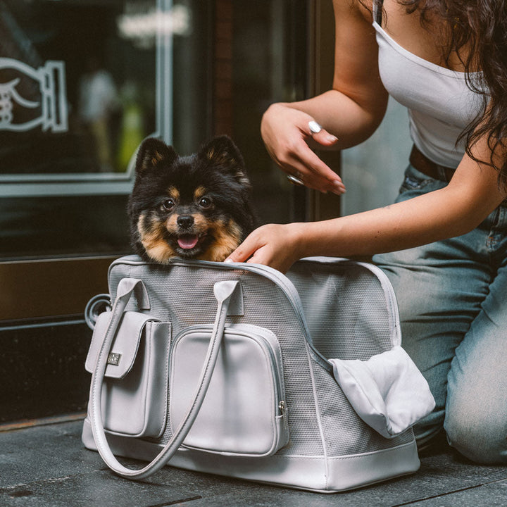 Unisex pet carrier with top handle and shoulder strap, black, sturdy for travel