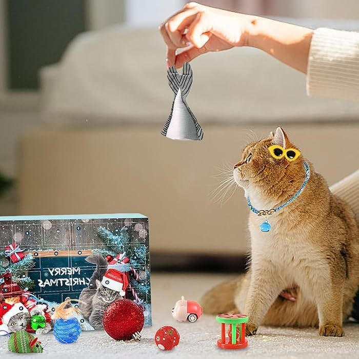 Cat advent calendar featuring 24 unique cat toys, an exciting holiday pet gift idea.