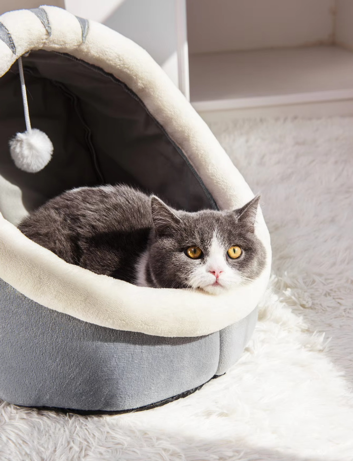 Washable cat bed, an igloo pet house with a comfortable interior and an attached play accessory ball.