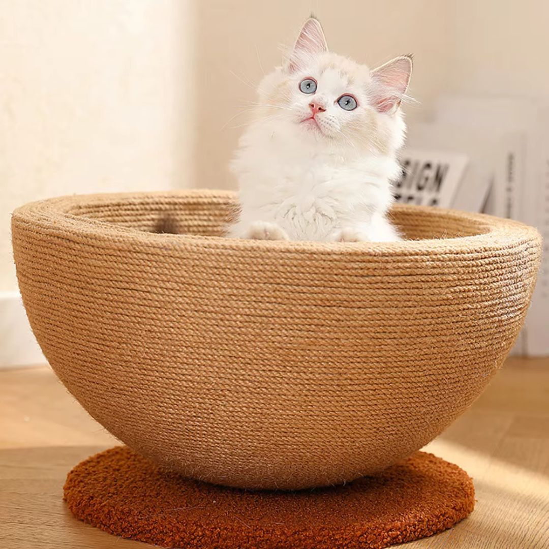 Unisex cat sisal scratching & sleeping ball, a natural pet furniture bed for feline claw care.