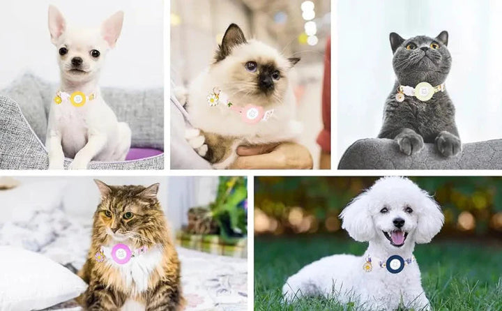 Adjustable pet safety collar for cats and small dogs, features AirTag holder and quick-release breakaway.